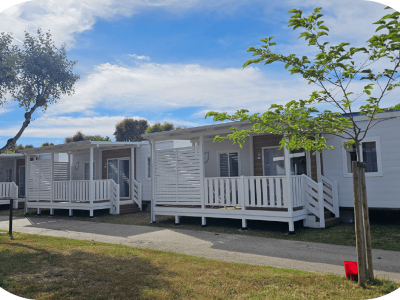 domus_Tavola-disegno-1-copia-7 domus_Tavola-disegno-1-copia-7